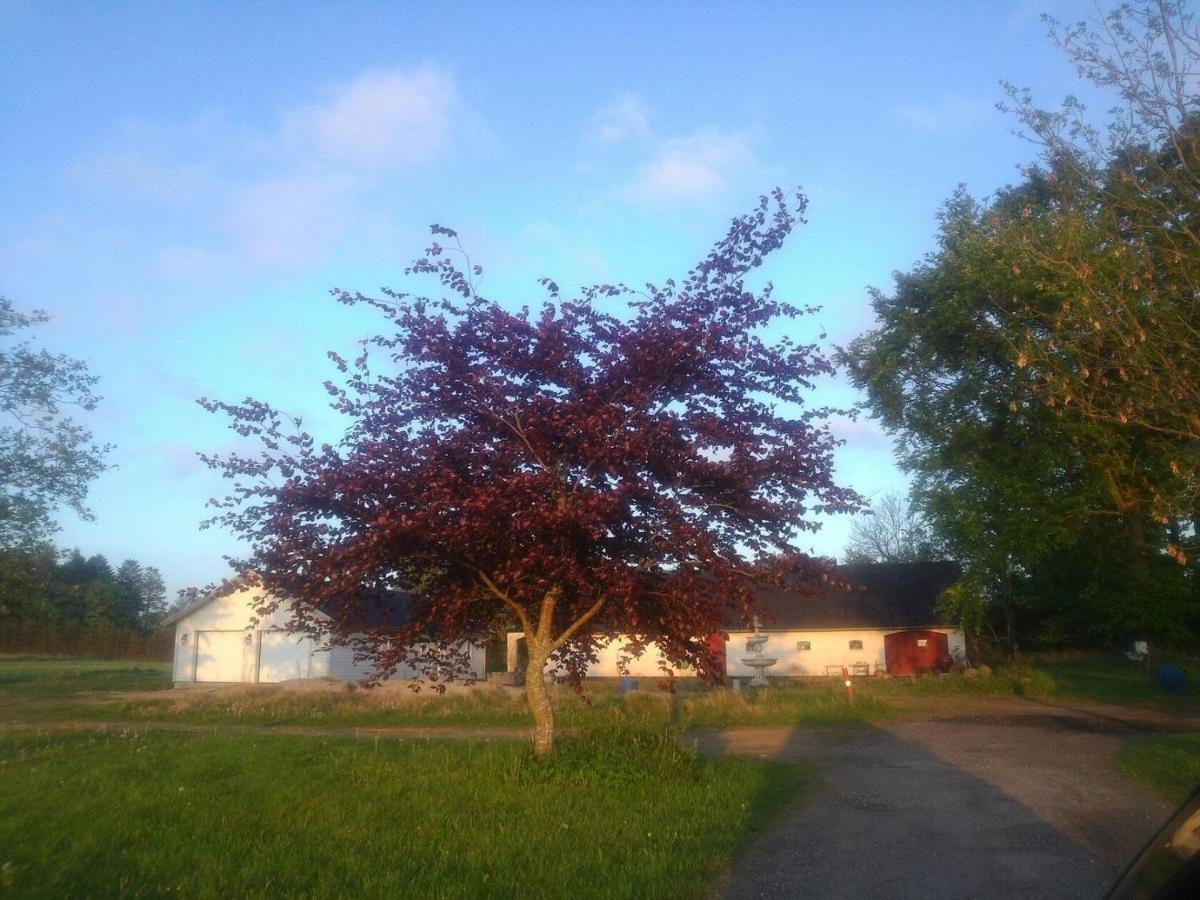 Lavendelbo B&B Hjallerup Екстериор снимка